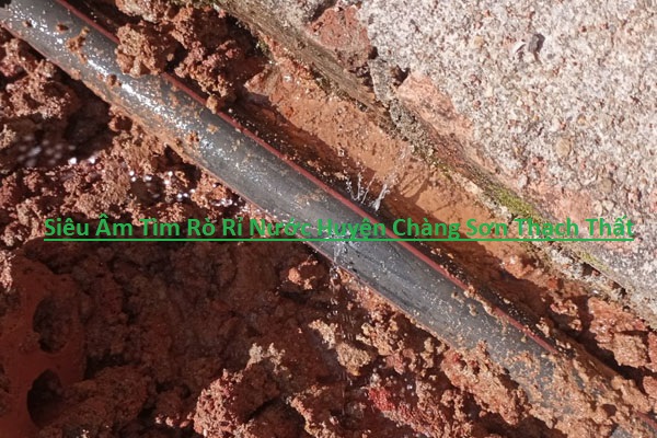 6 Địa Chỉ Siêu Âm Tìm Rò Rỉ Nước Huyện Chàng Sơn Thạch Thất 6 Địa Chỉ Siêu Âm Tìm Rò Rỉ Nước Huyện Chàng Sơn Thạch Thất