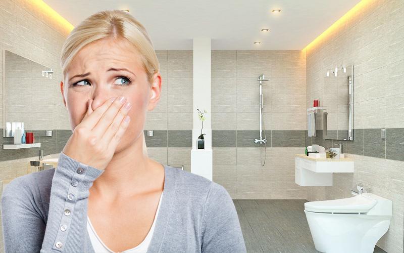 Điện Nước Quỳnh Anh